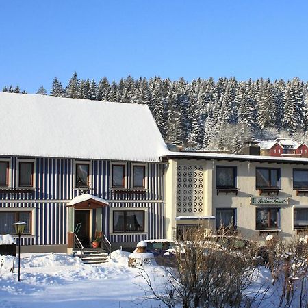 Haus Gruene Insel - Ferienwohnungen Altenau  Exterior photo