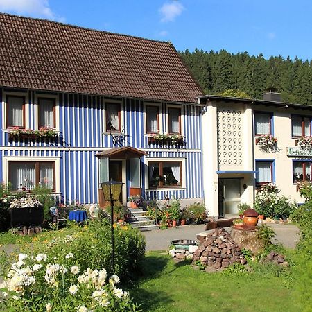 Haus Gruene Insel - Ferienwohnungen Altenau  Exterior photo